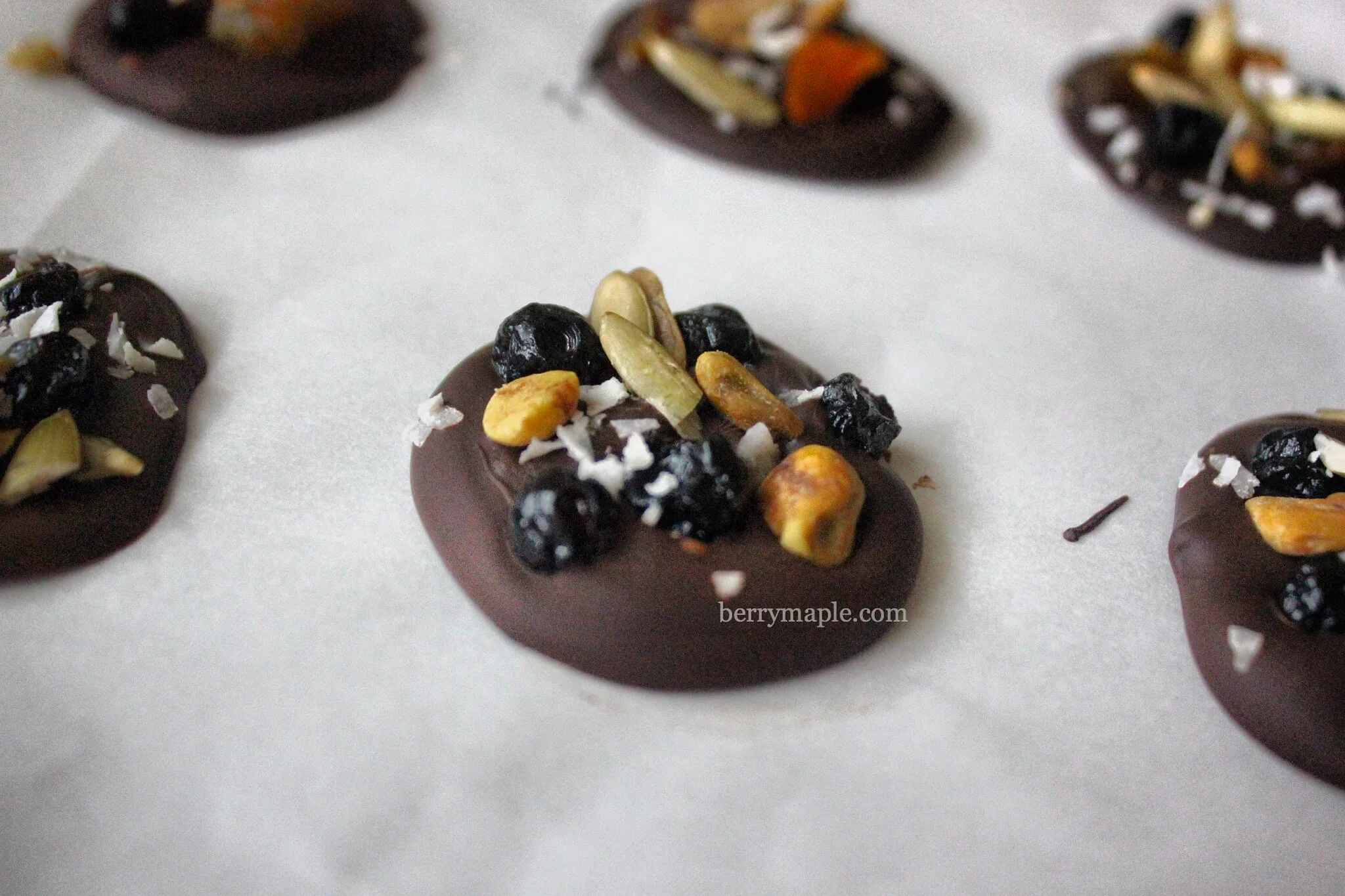 Fruity chocolate medallions 