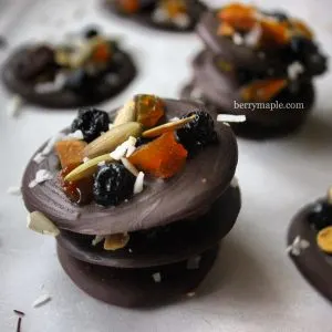 Fruit and nut chocolate medallions