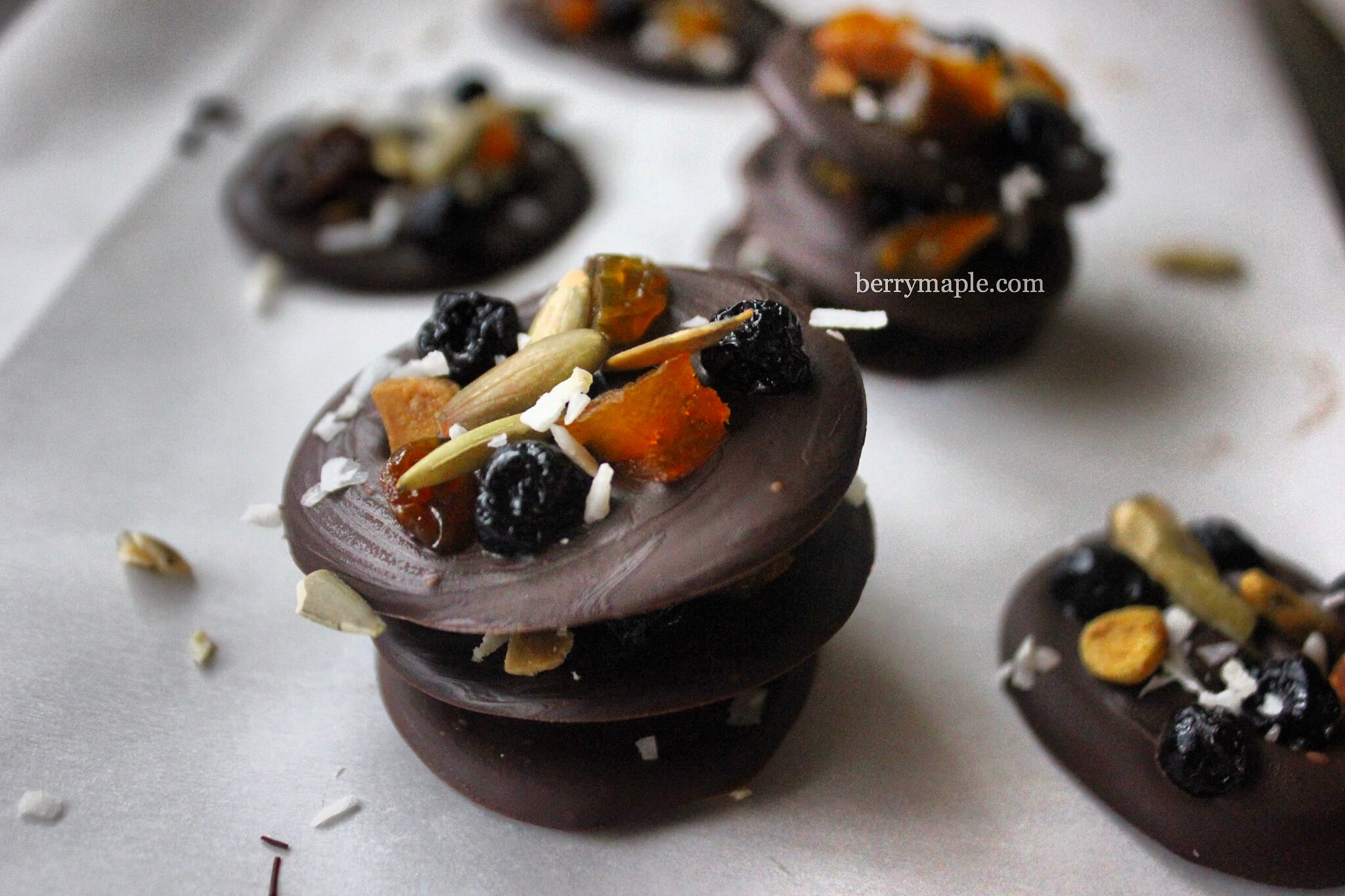 Fruity chocolate medallions 