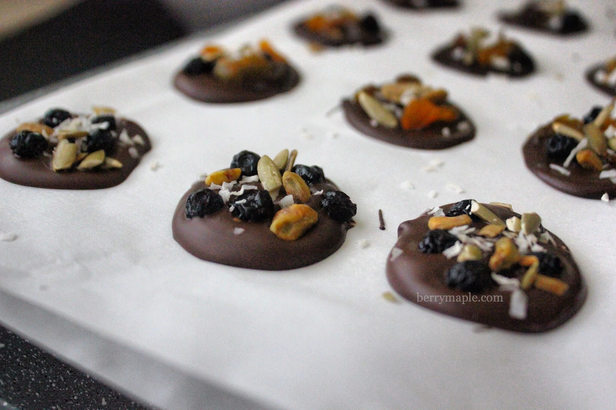 Fruity chocolate medallions 