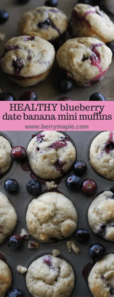 healthy blueberry date banana mini muffins www.berrymaple.com
