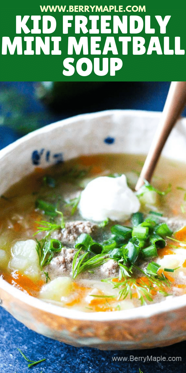 mini meatball soup