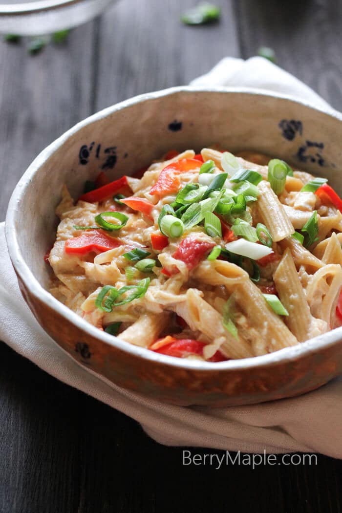 Leftover rotisserie chicken cheese pasta - Berry&Maple