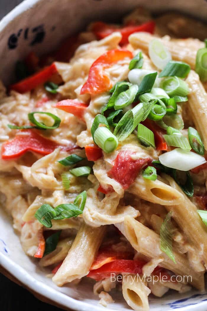 Leftover rotisserie chicken cheese pasta - Berry&Maple