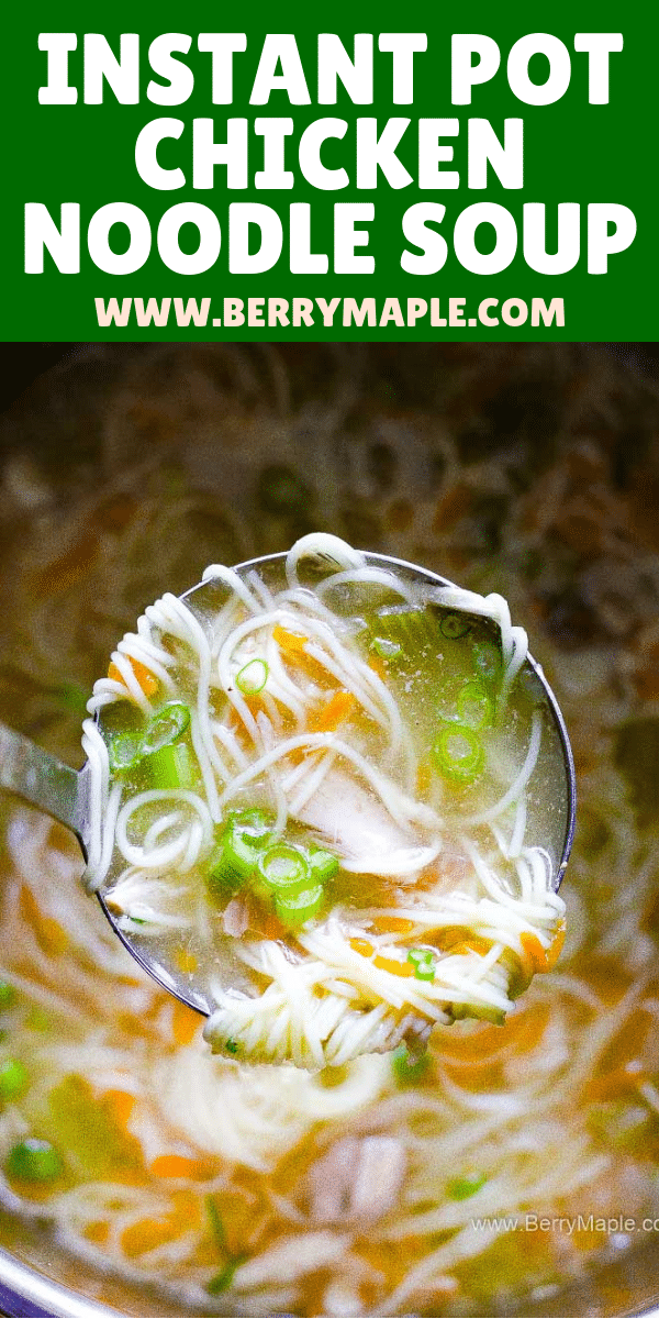 overhead shot of a pot with noodle soup