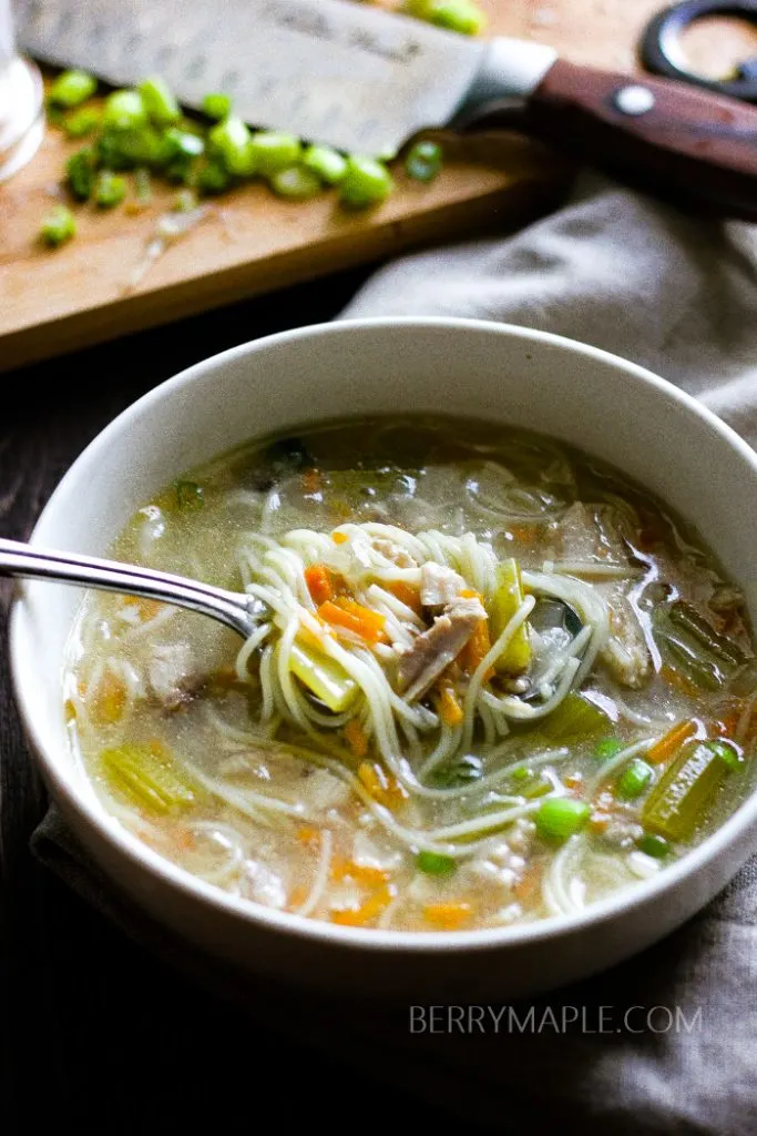 chicken noodle soup instant pot recipe1