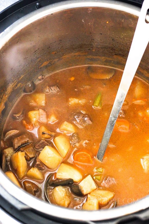 Beef And Vegetable Soup In Instant Pot - Berry&Maple