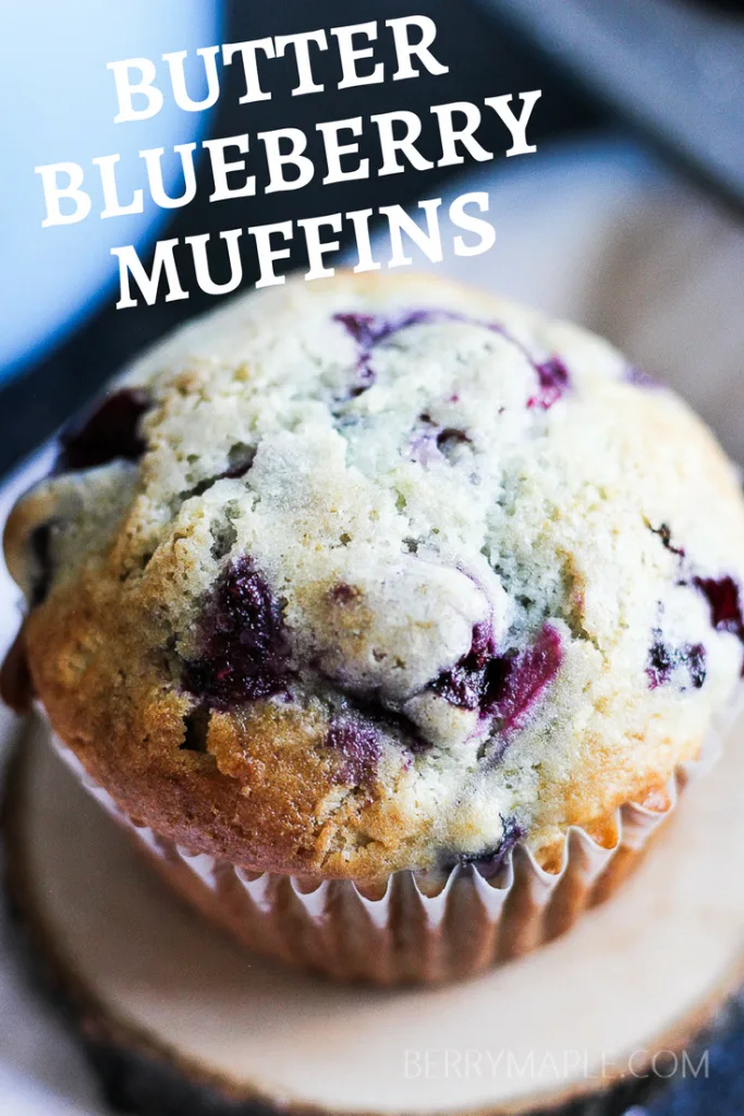 butter blueberry muffin