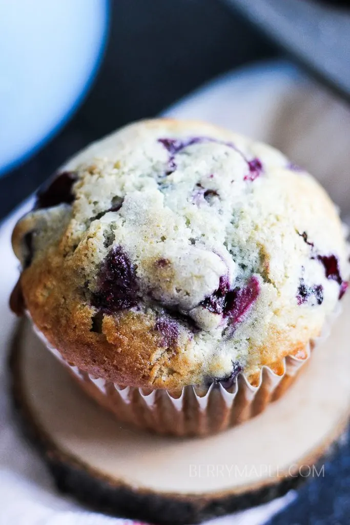 close shot of a blueberry muffin