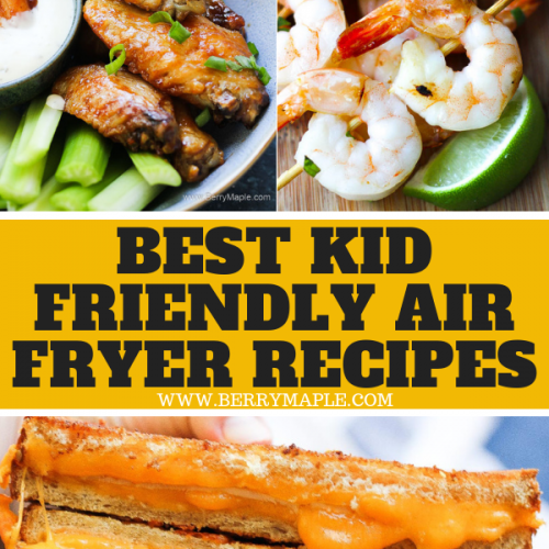 Featured image of post Steps to Prepare Air Fryer Recipes For Kids