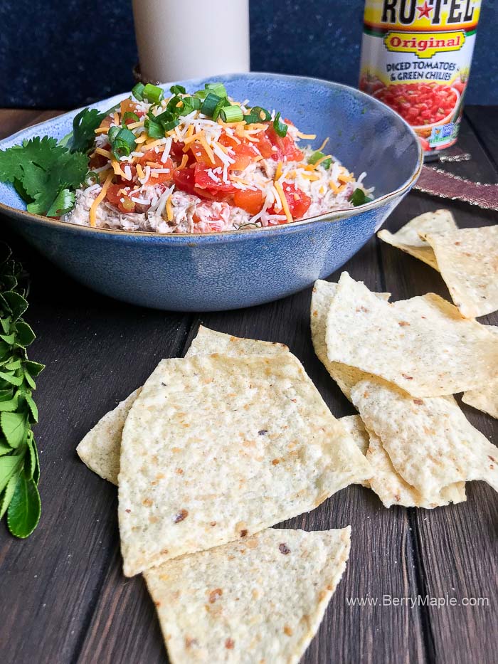 Instant pot pork dip