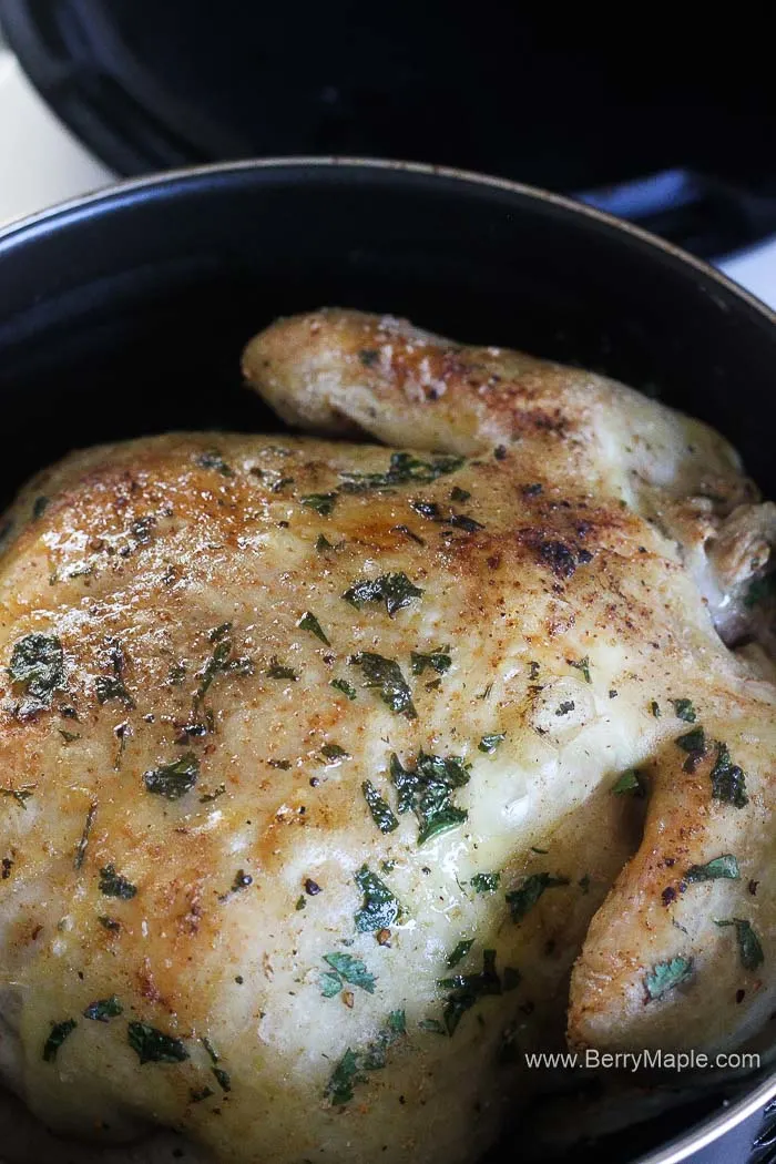 browned chicken