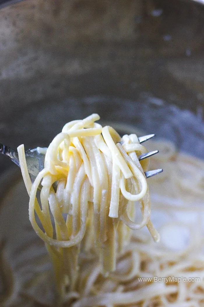 alfredo pasta on the fork