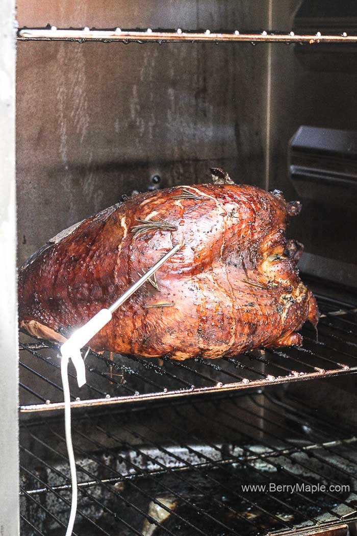 Masterbuilt electric smoked turkey hotsell