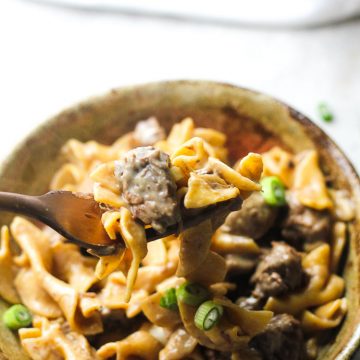 beef stroganoff on the fork