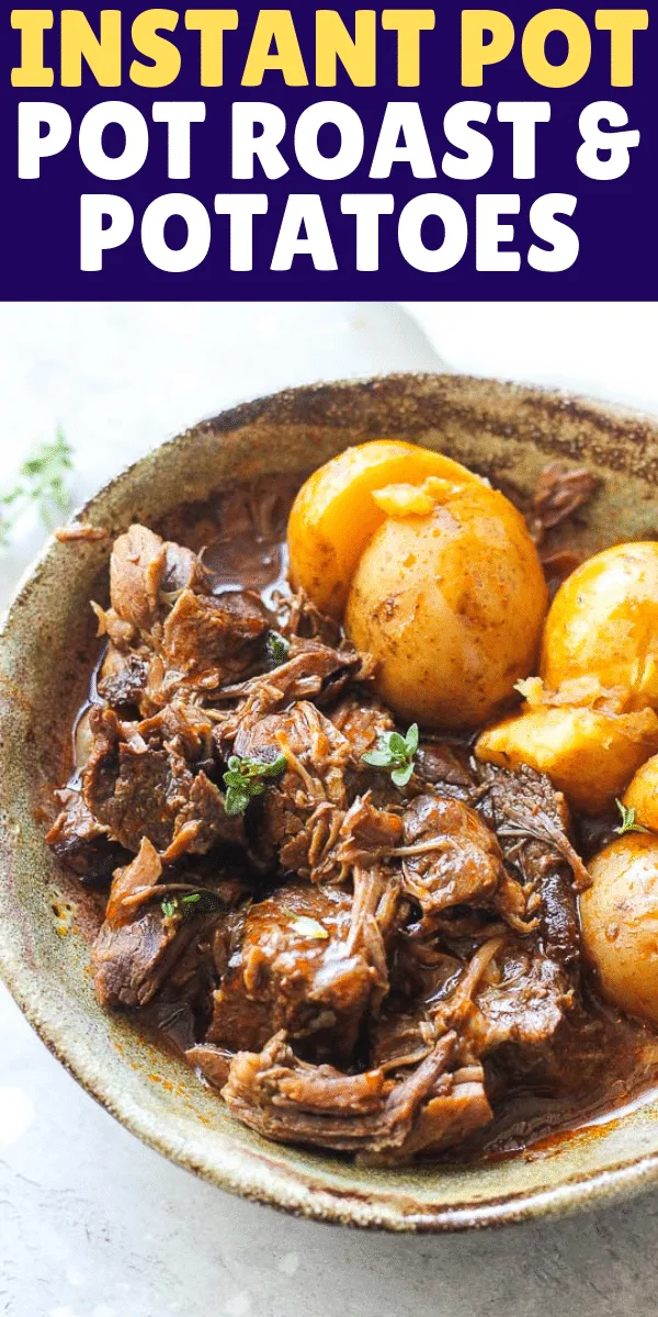 a bowl of beef pot roast and potatoes