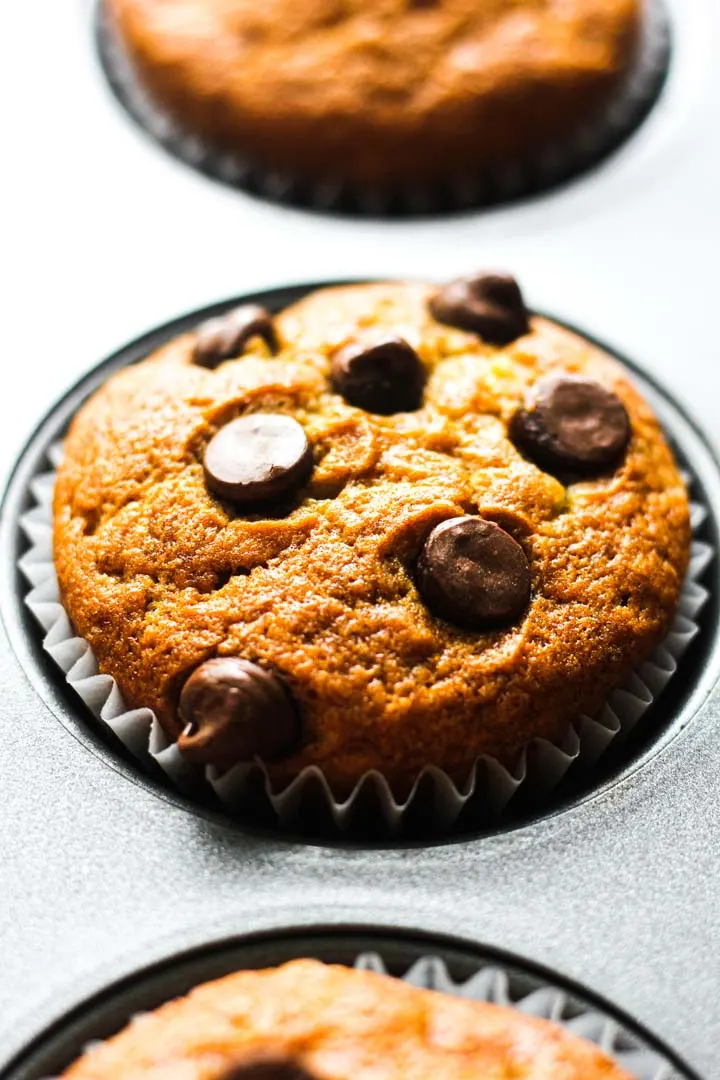 muffins with chococlate chips