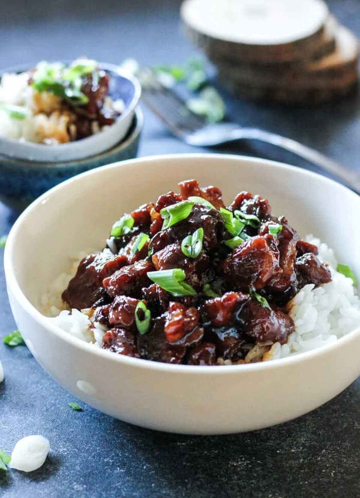 pork and rice dish with chopped green onions on top in a white bowl