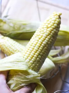 cooked corn in the hand