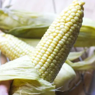 cooked corn in the hand