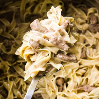 beef tips and noodles on the spoon