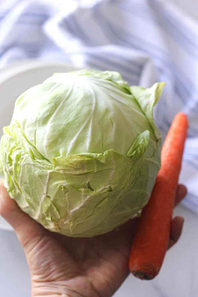cabbage and carrot in the hand