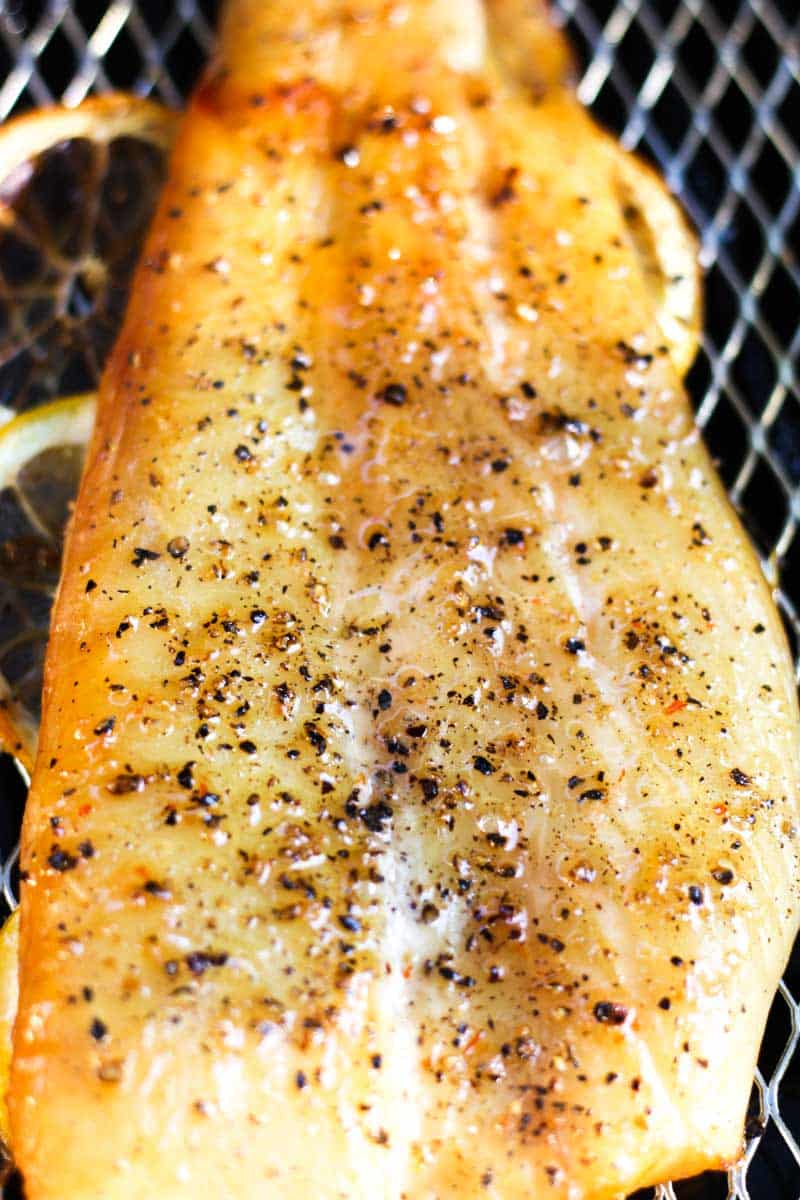 traeger smoked halibut fillet