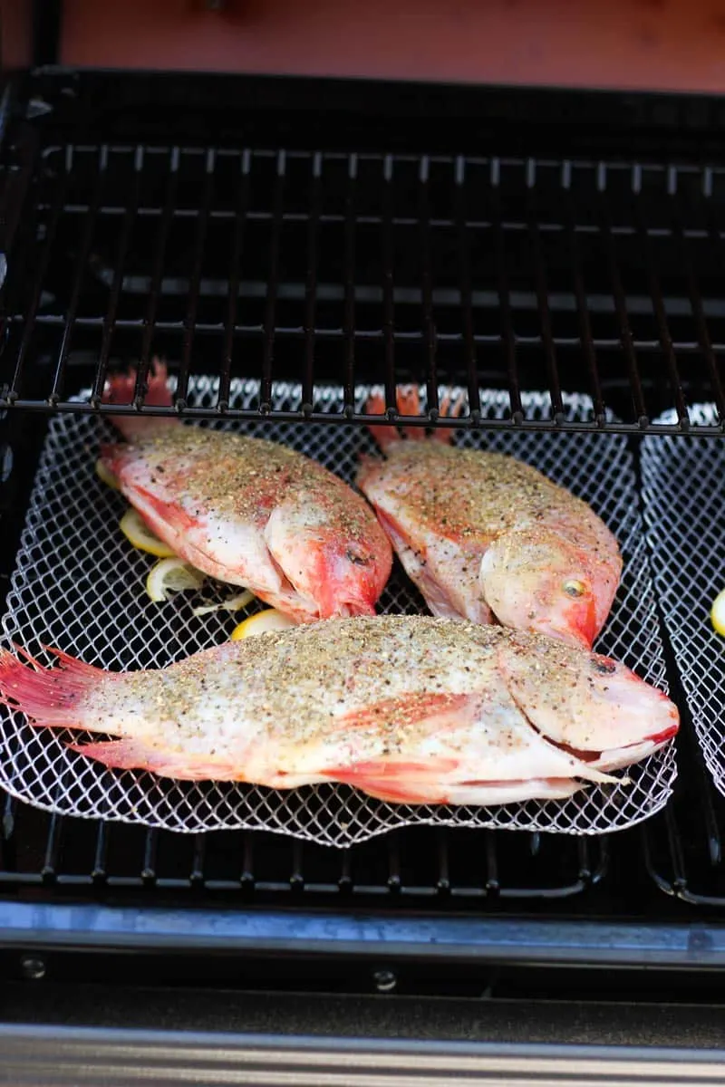 raw whole fish in electric smoker