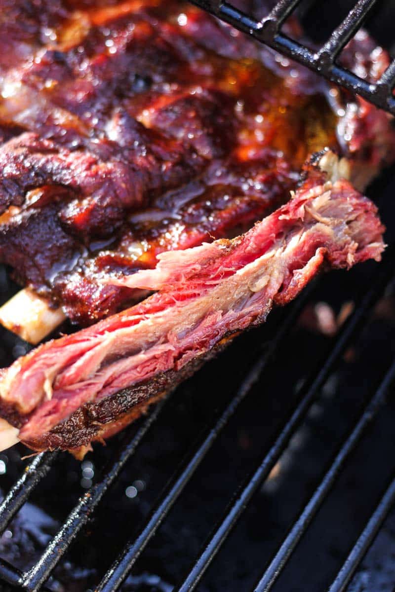 one smoked bison rib in hand