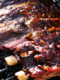 smoked bison ribs